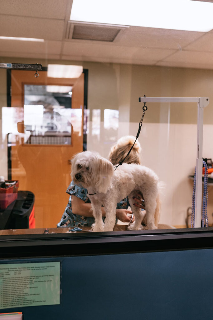 Photo Gallery All American Pet Resorts Lakeshore